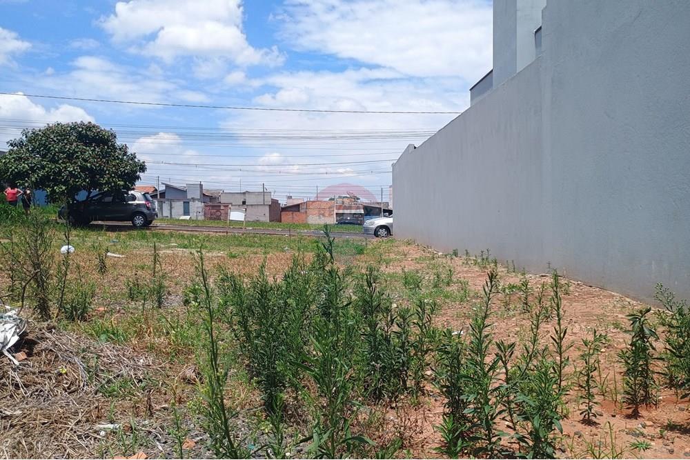 Terreno - Venda - Estiva Gerbi , São Paulo - IMG_20251115_105426924.jpg - 690291094-20