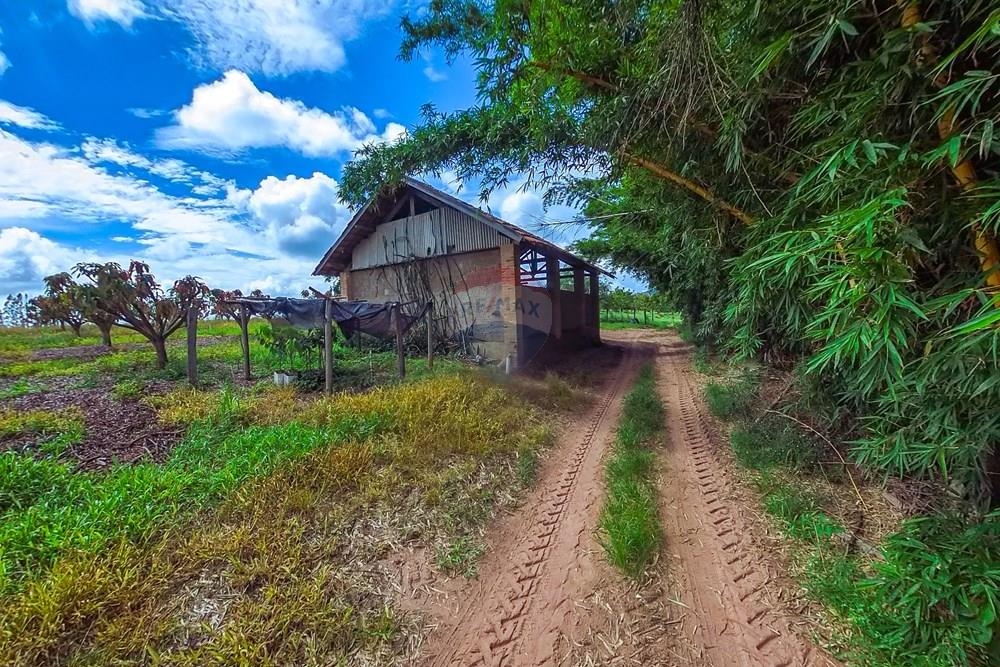 Fazenda - Venda - Analândia , São Paulo - Tratada-22.jpg - 690691016-305