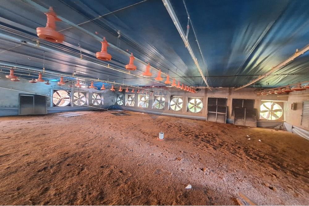 Chácara / Sítio / Fazenda - Venda - Itapira , São Paulo - 20250626_093046.jpg - 690751048-290