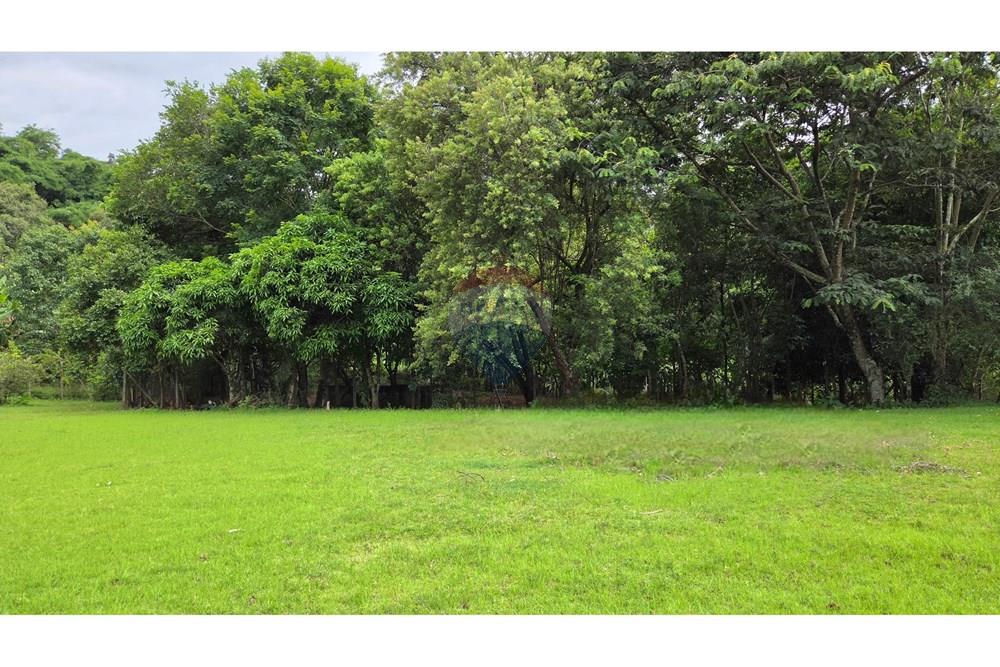 Terreno - Venda - Carapicuíba , São Paulo - 20260218_145208.jpg - 690951041-56