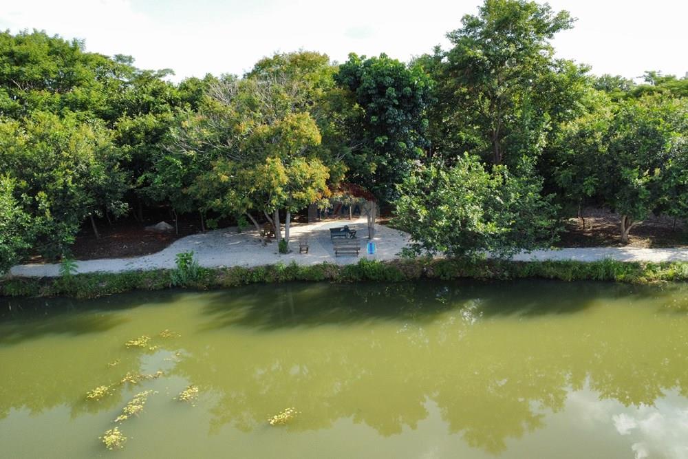 Terreno - Venda - Mogi Guaçu , São Paulo - dji_fly_20260213_164424_368_1771011915199_photo_optimized.jpg - 690751050-621