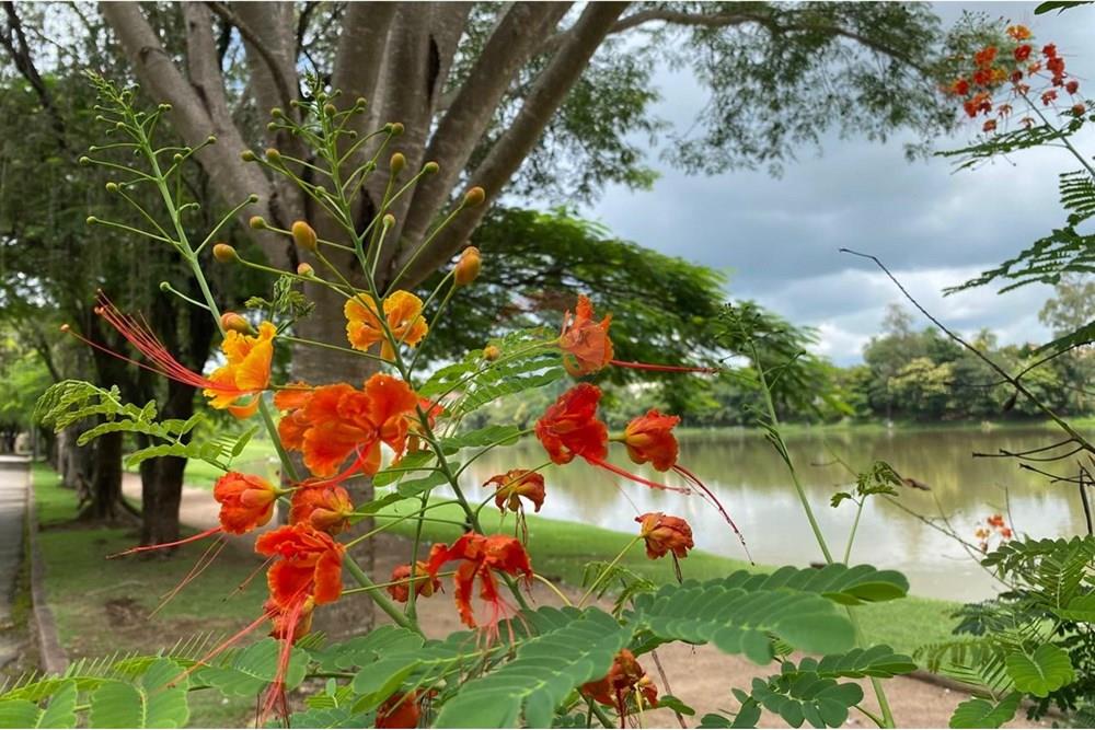 Casa de Condomínio - Venda - Vinhedo , São Paulo - cabcea88-1676-4418-a7c9-299ae550d526.jpeg - 690541076-48