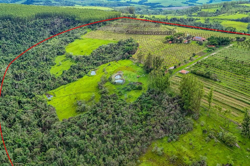 Fazenda - Venda - Analândia , São Paulo - Tratada - Drone-32.jpg - 690691016-305
