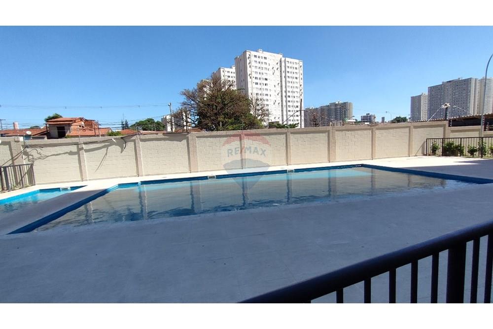 Apartamento - Alugar - Campinas , São Paulo - WhatsApp Image 2026-03-03 at 09.21.14 (2).jpeg - 691181019-19