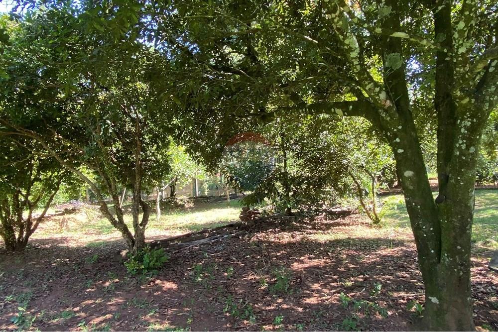 Chácara / Sítio / Fazenda - Venda - Jarinu , São Paulo - Z33.JPEG - 691121003-48