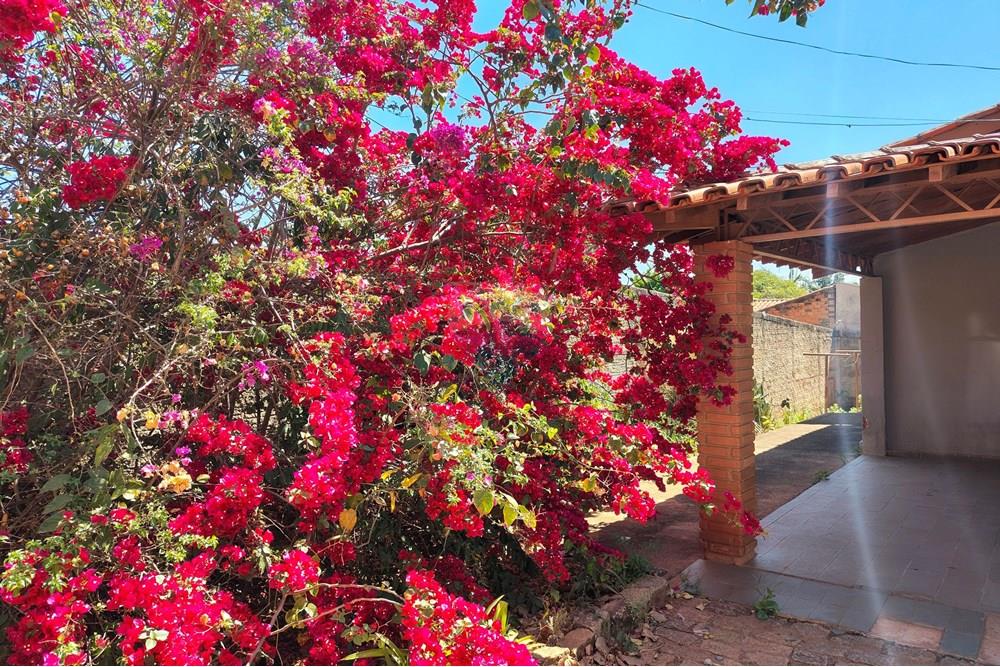 Chácara / Sítio / Fazenda - Venda - Cosmópolis , São Paulo - IMG_20250917_130343084_HDR-EDIT (2).jpg - 690511001-1554