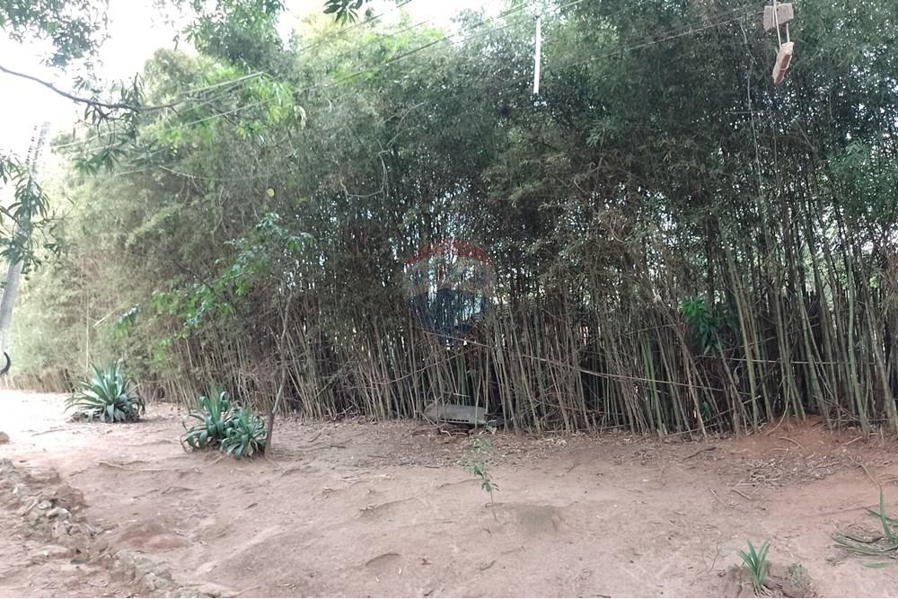 Terreno - Venda - Cosmópolis , São Paulo - fachada (25).jpg - Jardim Interno - 690511357-364