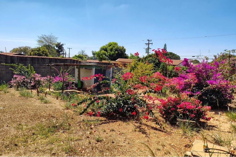 Chácara / Sítio / Fazenda - Venda - Cosmópolis , São Paulo - IMG_20250917_130442185_HDR-EDIT.jpg - 690511001-1554