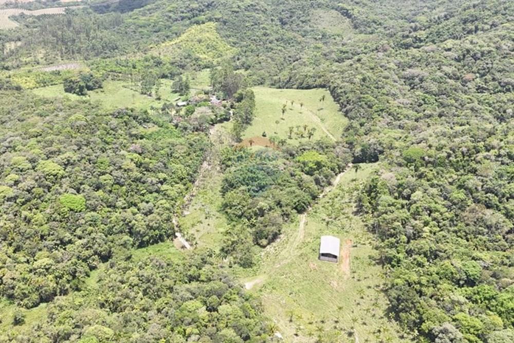 Fazenda - Venda - Pariquera-Açu , São Paulo - WhatsApp Image 2026-03-18 at 16.42.14.jpeg - 690061038-24