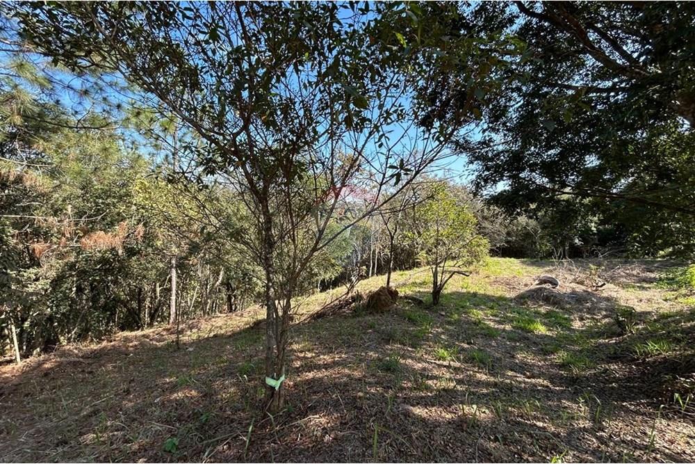 Terreno - Venda - Jarinu , São Paulo - IMG-20250819-WA0012.jpg - 690661027-137