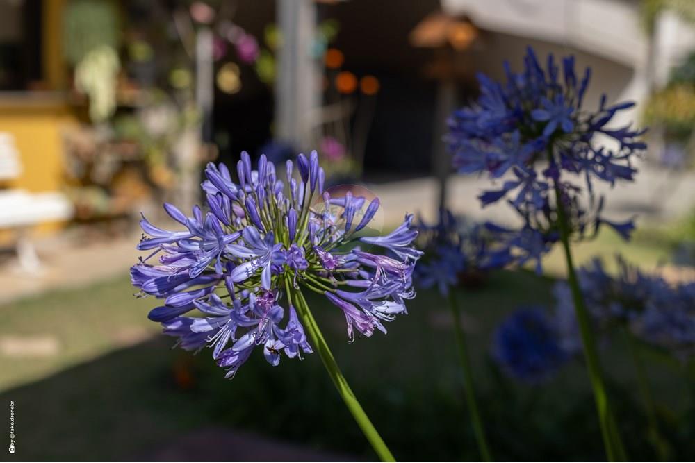 Casa de Condomínio - Venda - Vinhedo , São Paulo - TKD-9925.jpg - 690941025-167
