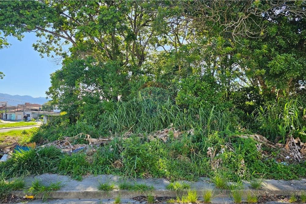 Terreno - Venda - Peruíbe , São Paulo - WhatsApp Image 2026-01-19 at 14.44.18 (1).jpeg - 691111010-108