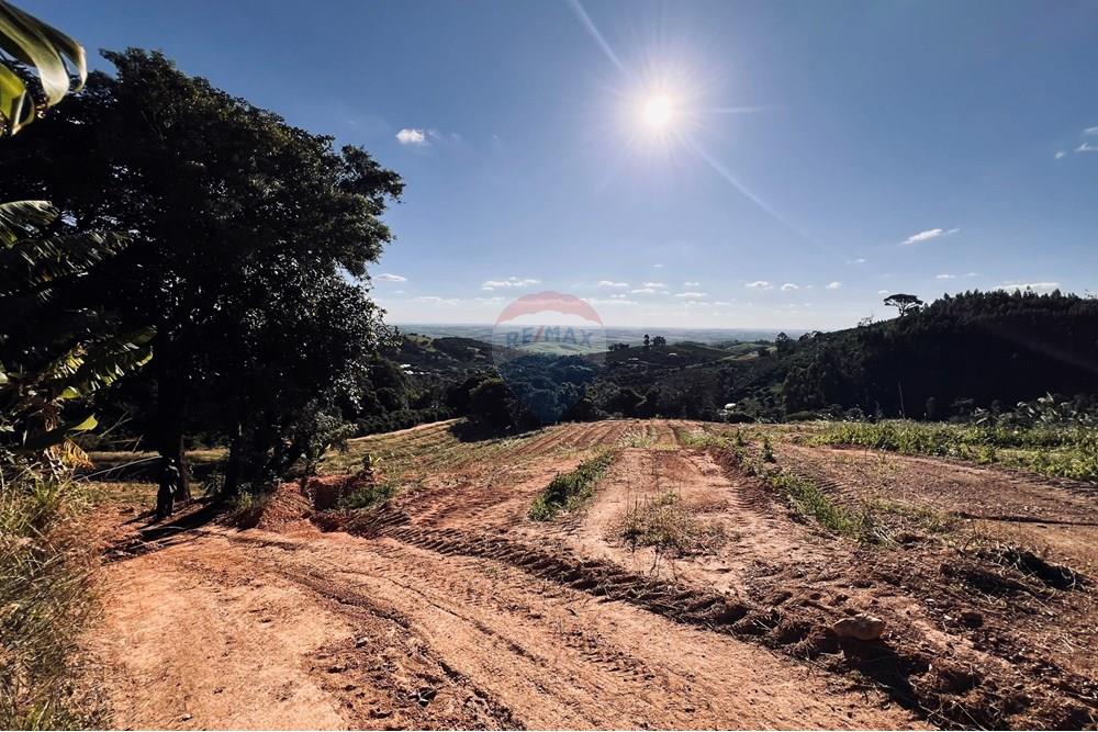 Chácara / Sítio / Fazenda - Venda - Serra Negra , São Paulo - IMG_4693.jpg - 690291056-34