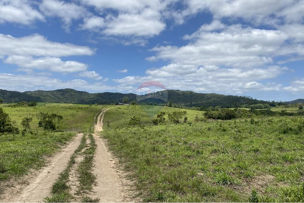 Fazenda - Venda - Iguape , São Paulo - IMG_6014.jpg - 690061038-14