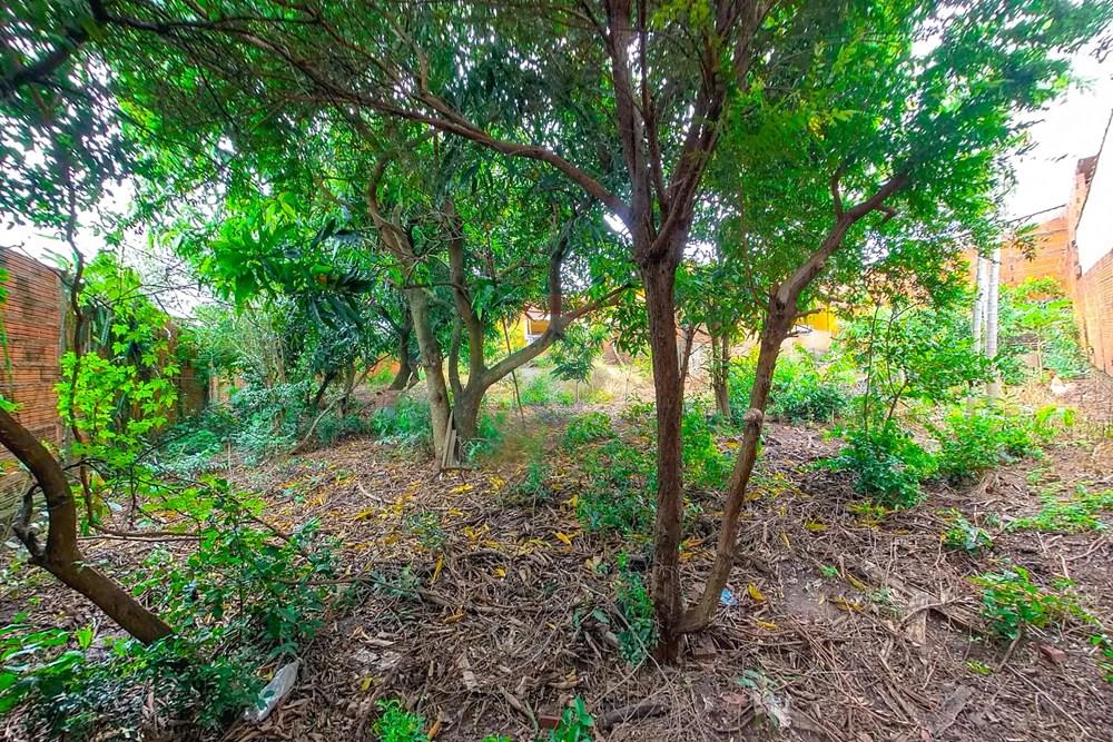 Terreno - Venda - Rio Claro , São Paulo - Tratada-4 (1).jpg - 690691027-198