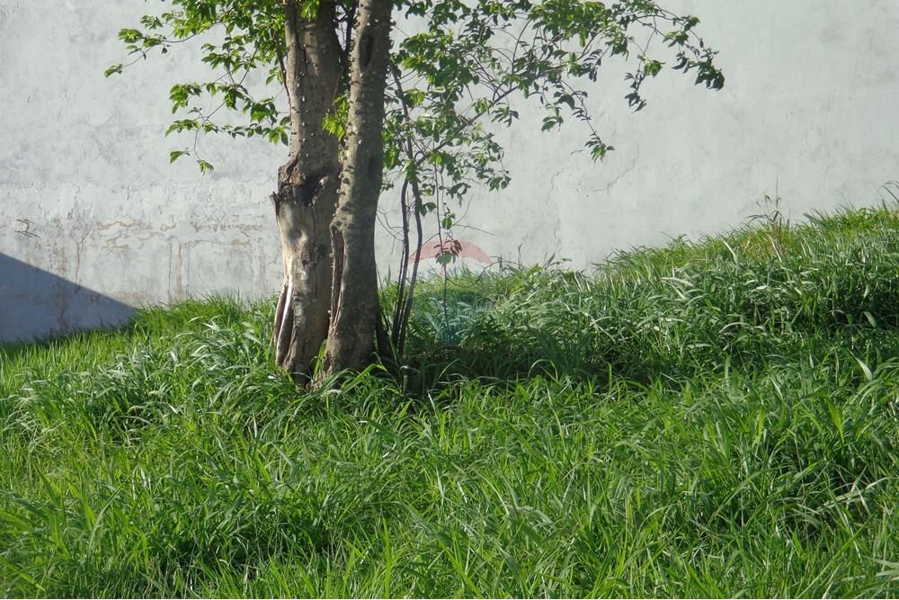 Terreno - Venda - Rio Claro , São Paulo - DSC00013.JPG - Fachada - 690811004-75