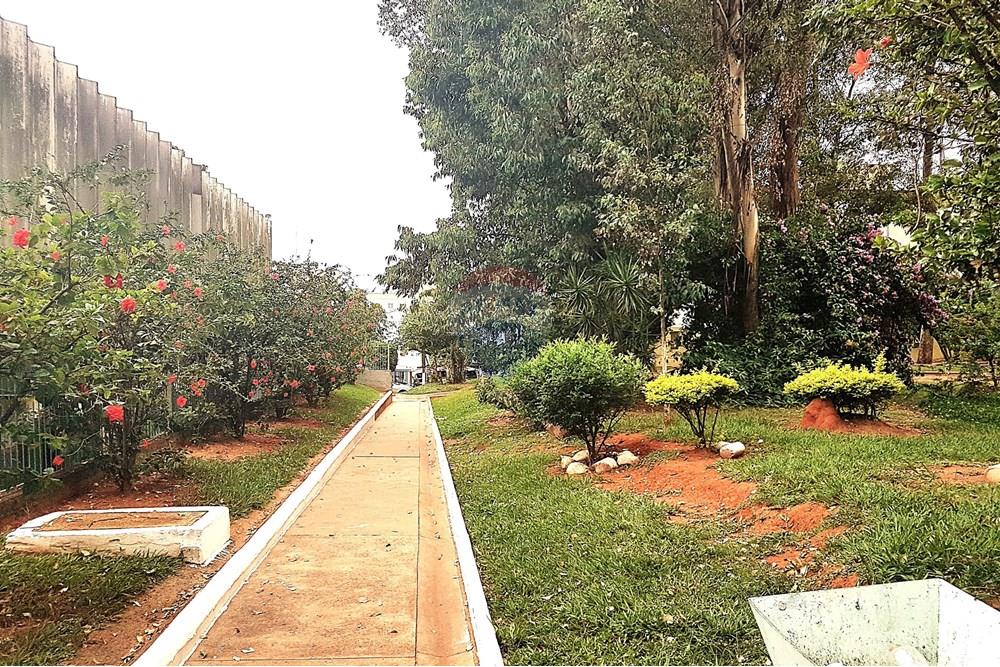 Apartamento - Venda - Campinas , São Paulo - 20190214_192422a.jpg - 690511257-3