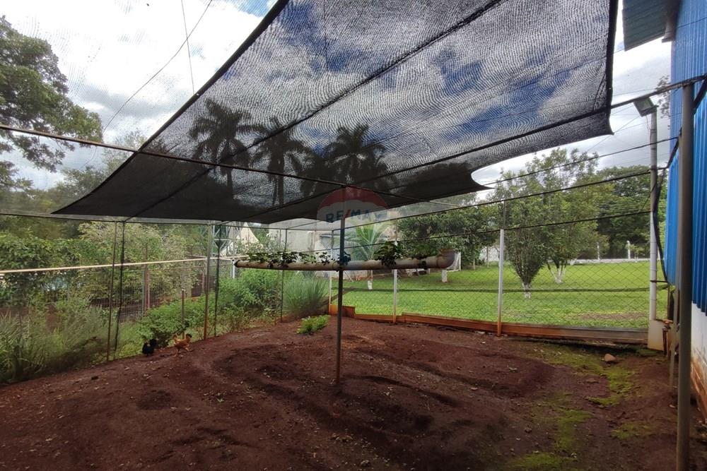 Chácara / Sítio / Fazenda - Venda - Mogi Mirim , São Paulo - 76.jpg - 690521007-331