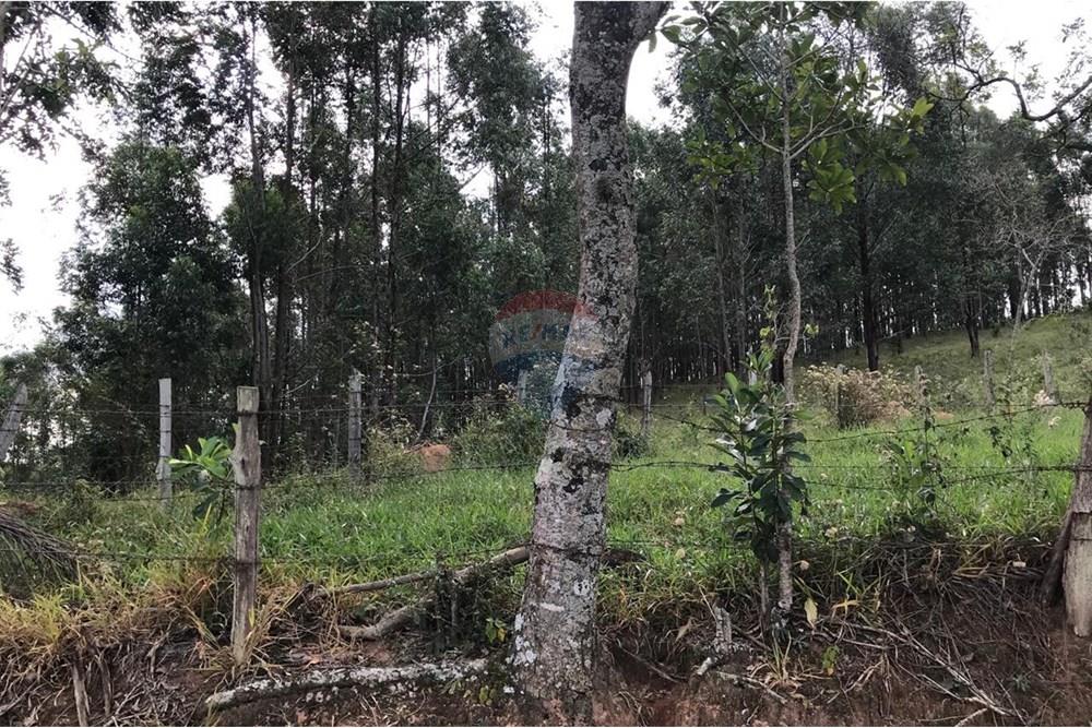 Chácara / Sítio / Fazenda - Venda - Socorro , São Paulo - IMG-20250520-WA0039.jpg - 690291056-39