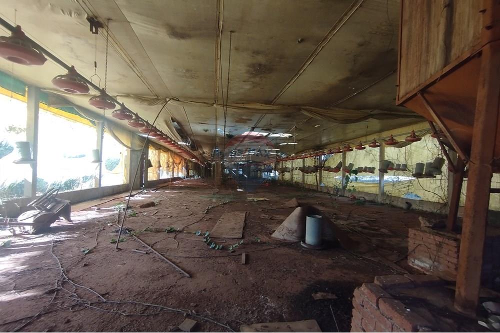 Chácara / Sítio / Fazenda - Venda - Itapira , São Paulo - IMG_20250620_135401.jpg - 690521014-142