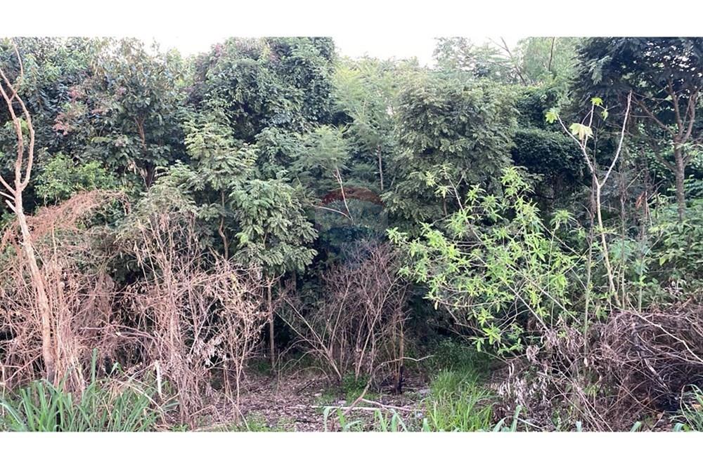 Terreno - Venda - Bragança Paulista , São Paulo - WhatsApp Image 2025-06-05 at 12.36.33 (1).jpeg - 690141091-47