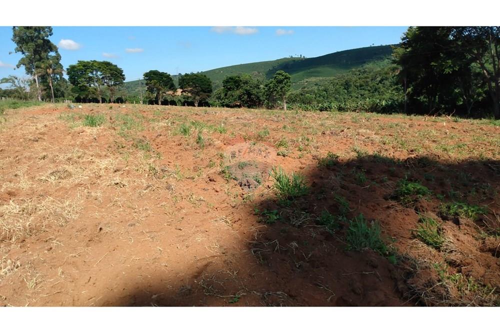 Fazenda - Venda - Campestre , Minas Gerais - ea9453b8-22b2-42d1-bde1-0c85bf9a2848.jpg - 690291077-293