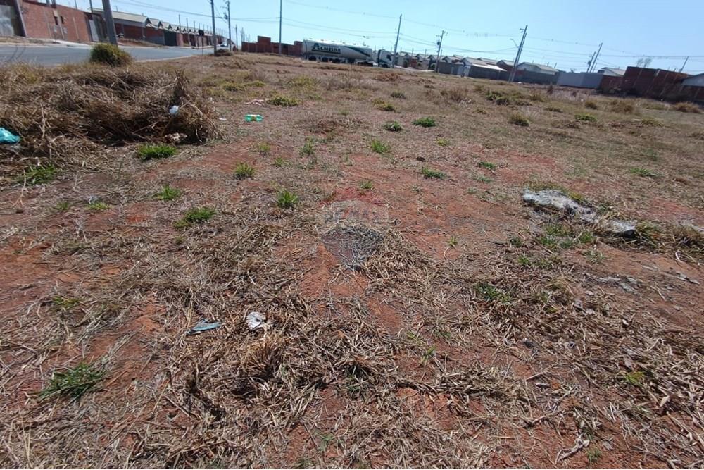 Terreno - Venda - Mogi Guaçu , São Paulo - WhatsApp Image 2025-09-18 at 15.29.44 (2).jpeg - Quintal - 690521005-180