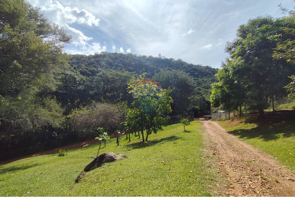 Chácara / Sítio / Fazenda - Venda - Itapira , São Paulo - 1751510168927.jpg - 690291085-364