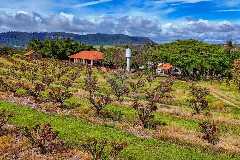 Fazenda - Venda - Analândia , São Paulo - Tratada - Drone-89.jpg - 690691016-305