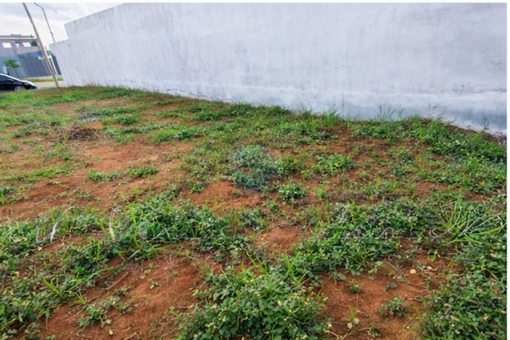 Terreno - Venda - Limeira , São Paulo - foto_03_inferior_esquerda MARAJOARA.jpg - 690741092-3