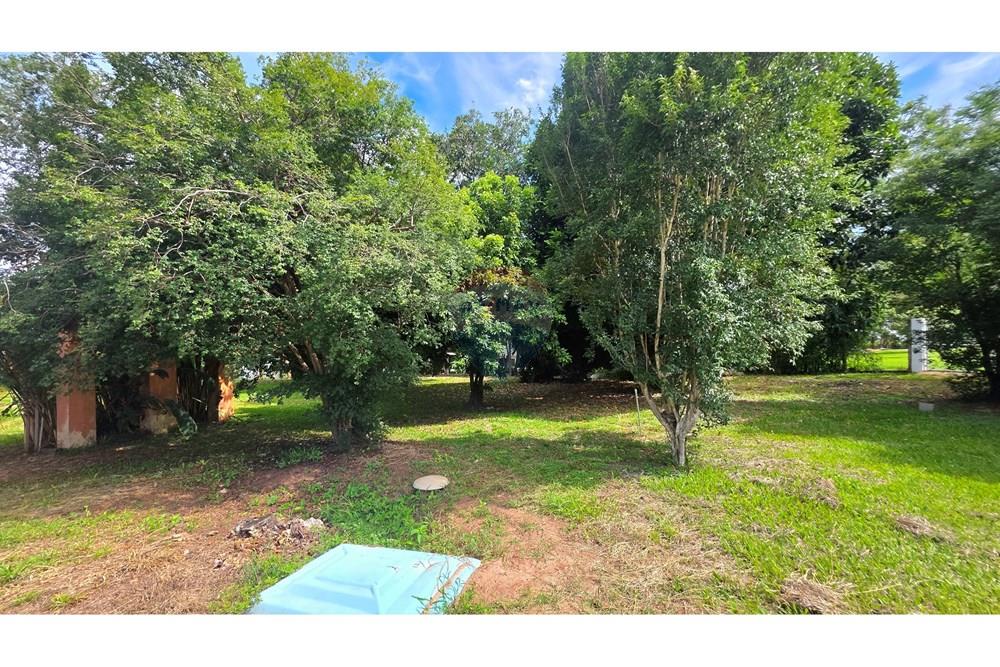 Chácara / Sítio / Fazenda - Venda - Mogi Mirim , São Paulo - 20251211_144854.jpg - 690751019-444