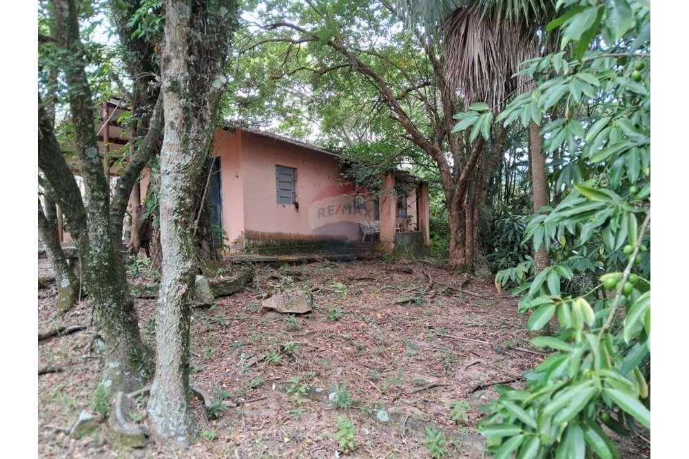 Chácara / Sítio / Fazenda - Venda - Valinhos , São Paulo - foto 9.jpg - 690851076-164