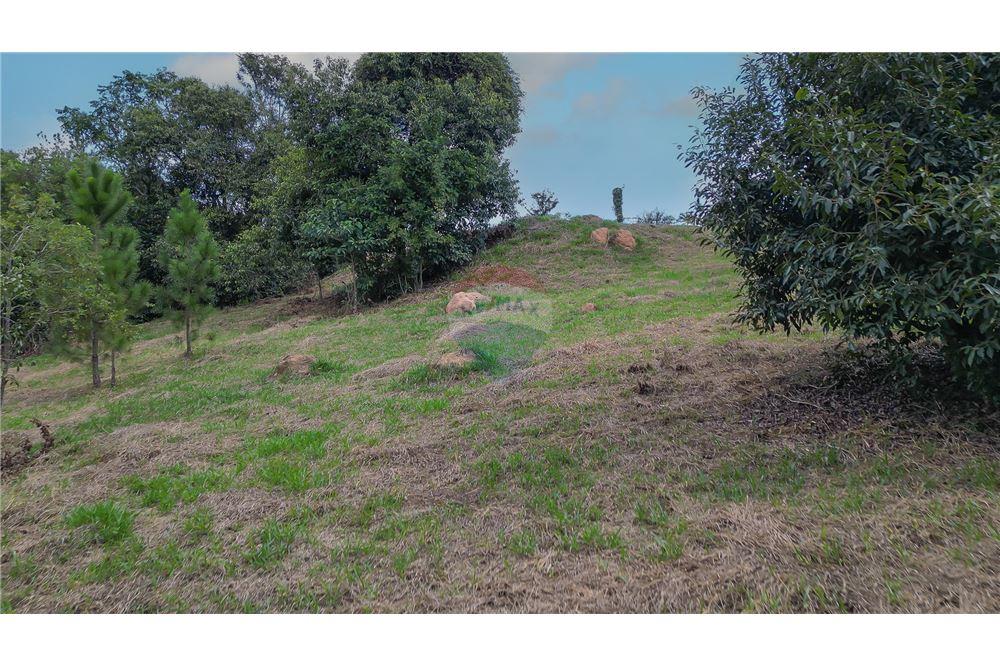 Terreno - Venda - Valinhos , São Paulo - 17 - 691091001-208