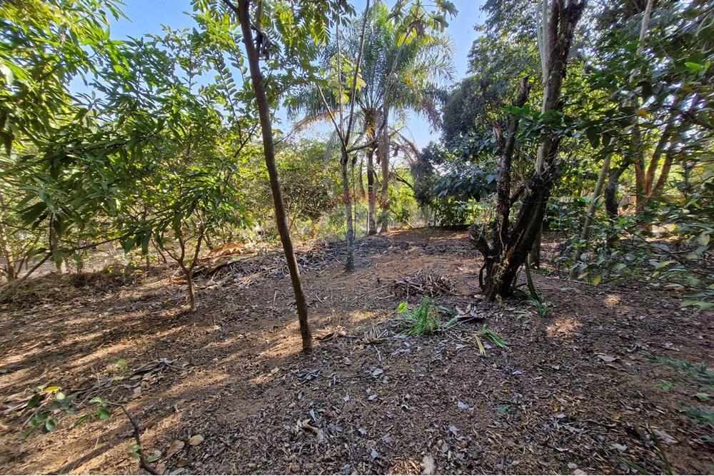 Terreno - Venda - Jaguariúna , São Paulo - 20250814_151929.jpg - 690671008-327