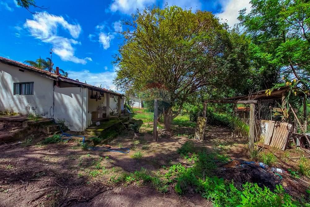 Fazenda - Venda - Analândia , São Paulo - Tratada-4.jpg - 690691016-305