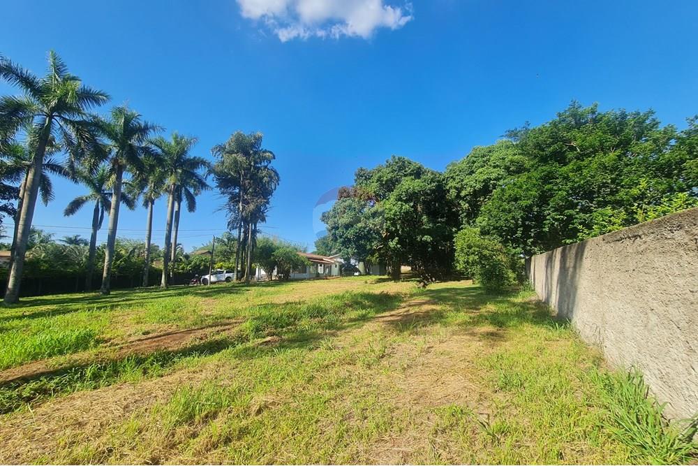 Agro - Alugar - Artur Nogueira , São Paulo - 20251120_155647.jpg - 690671009-93