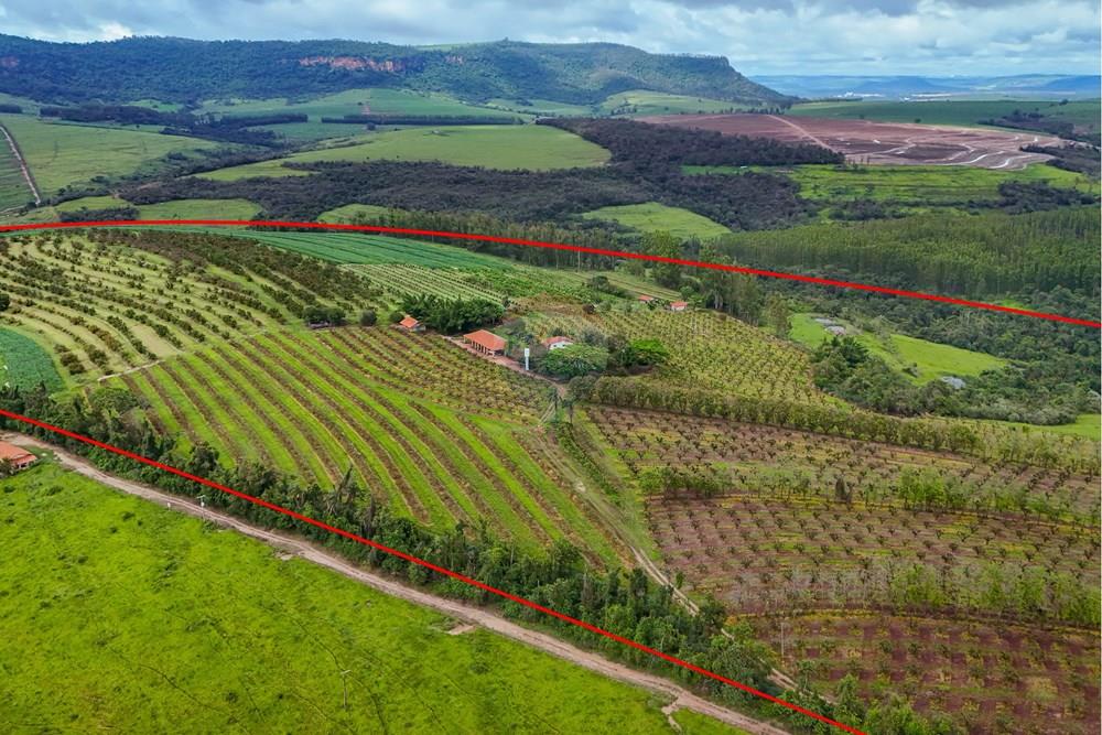 Fazenda - Venda - Analândia , São Paulo - Tratada - Drone-7.jpg - 690691016-305