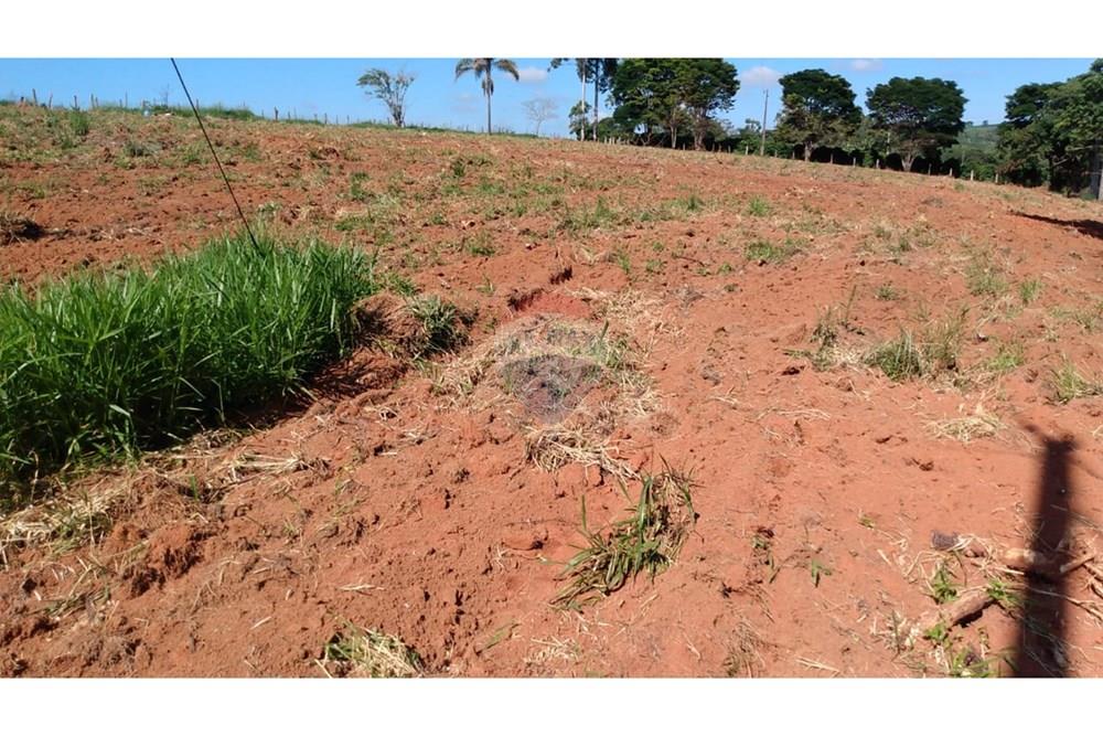 Fazenda - Venda - Campestre , Minas Gerais - 94697762-1095-4f39-ad1e-db16116945d2.jpg - 690291077-293
