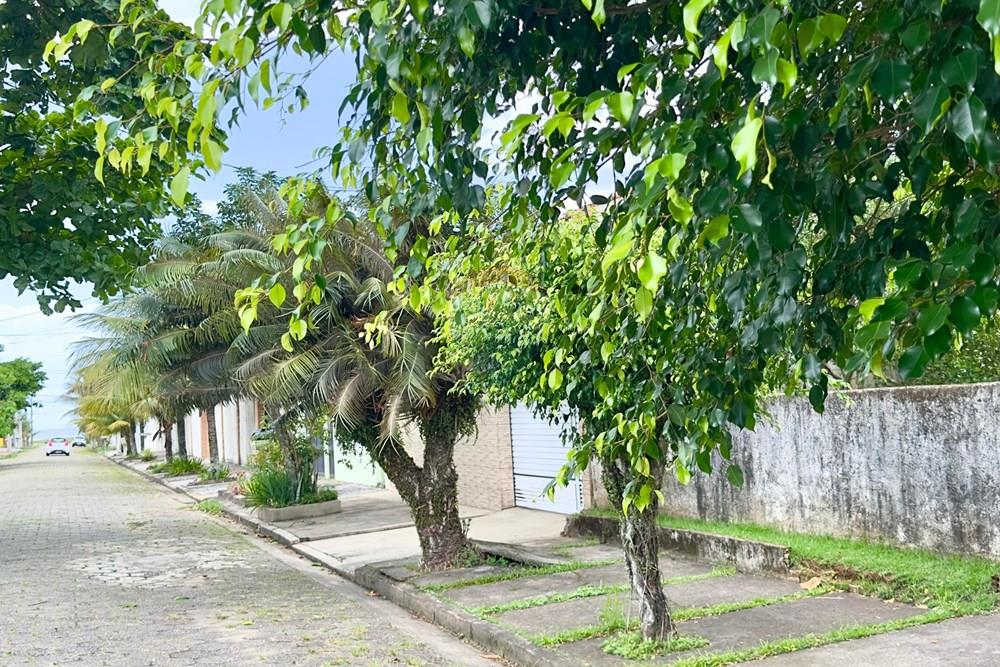 Terreno - Venda - Peruíbe , São Paulo - terreno5.jpg - 691111053-4