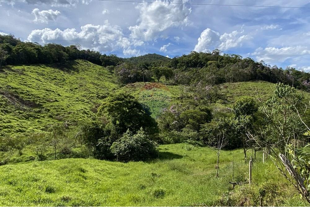 Fazenda - Venda - Jacupiranga , São Paulo - IMG_6256.jpeg - 690061038-17