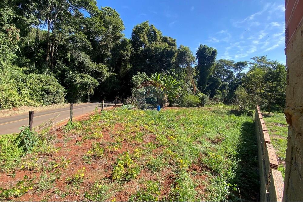 Terreno - Venda - Mogi Mirim , São Paulo - IMG_6547.JPEG - 690281041-98