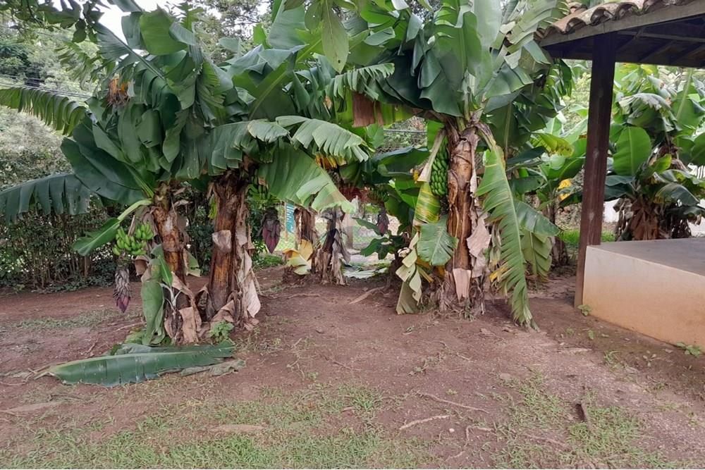 Casa de Condomínio - Alugar - Vinhedo , São Paulo - 9dde3896-4085-4a06-b68f-c1fd0f31839f.jpg - 690541142-212