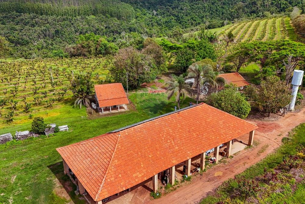 Fazenda - Venda - Analândia , São Paulo - Tratada - Drone-64.jpg - 690691016-305