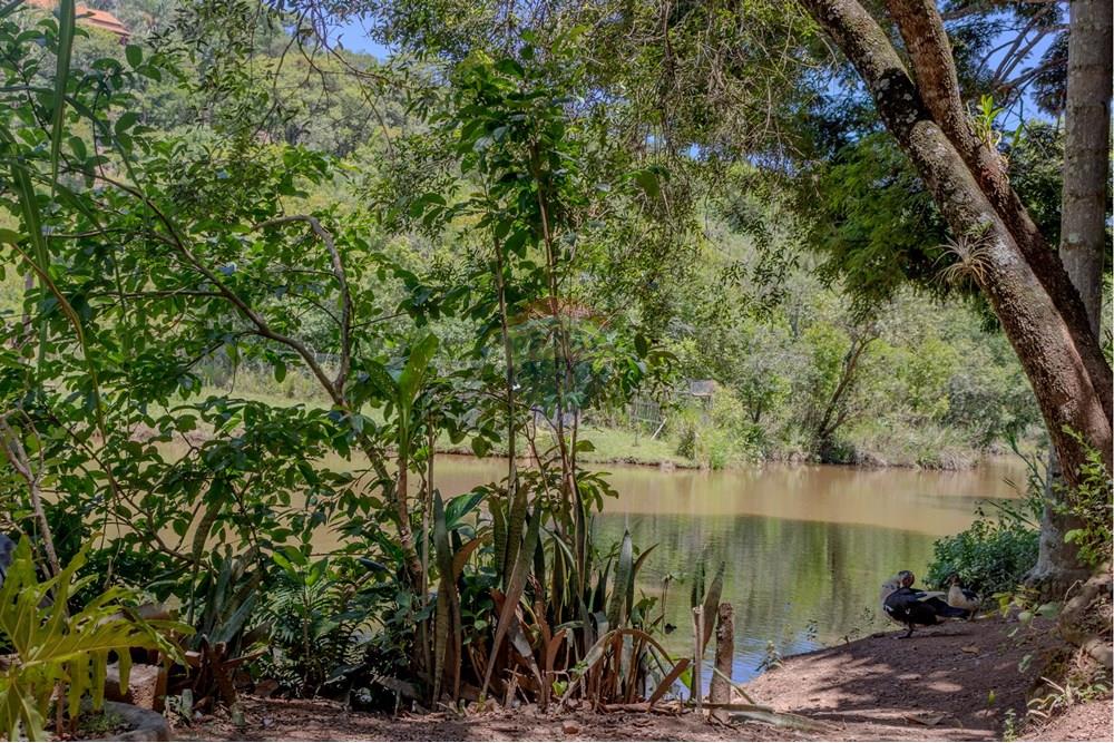 Chácara / Sítio / Fazenda - Venda - Jarinu , São Paulo - RINf-050.jpg - 690921112-9