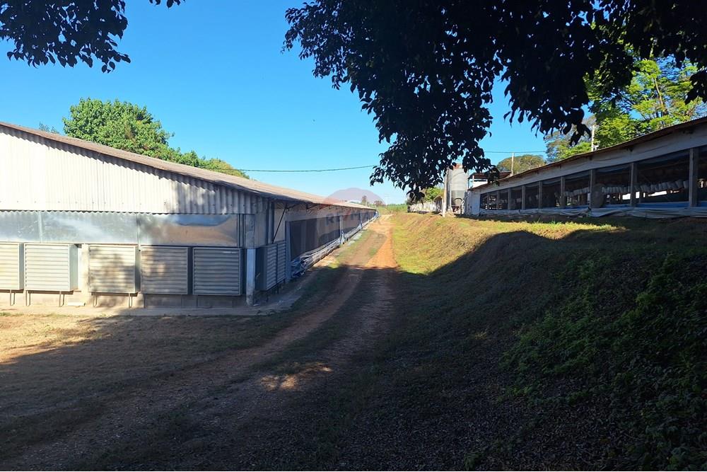 Chácara / Sítio / Fazenda - Venda - Conchal , São Paulo - 20250617_140738.jpg - 690751019-291