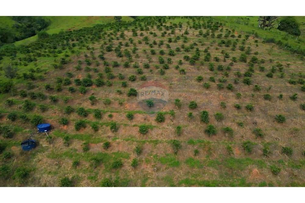 Chácara / Sítio / Fazenda - Venda - Lindóia , São Paulo - {2AFBBB37-96E9-4DA5-B7BB-A4A0BB9080F4}.jpeg - 690291077-296