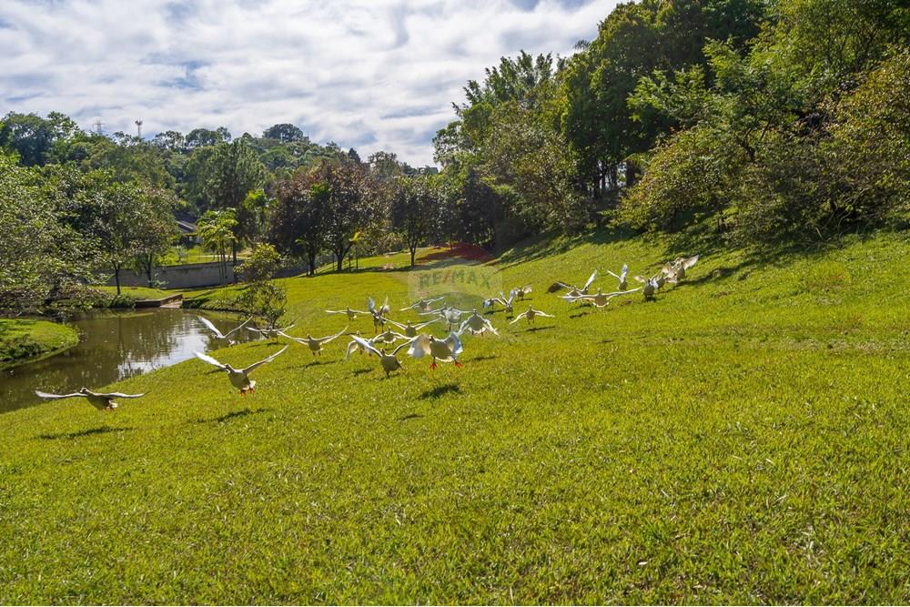 Casa de Condomínio - Venda - Vinhedo , São Paulo - 059 Vista Alegre.jpg - 690941009-123