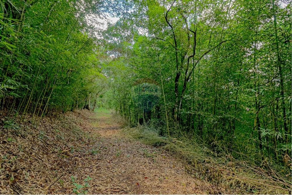 Terreno - Venda - Atibaia , São Paulo - RINFY-21.jpg - 690921066-33