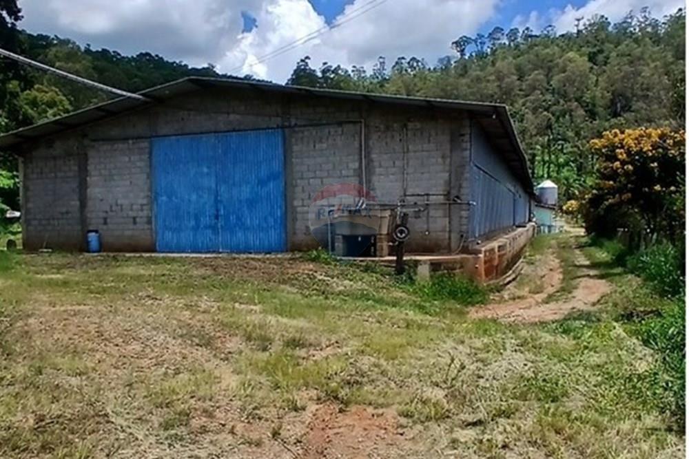 Chácara / Sítio / Fazenda - Venda - Bragança Paulista , São Paulo - 20260213_125113.jpg - 690141085-32