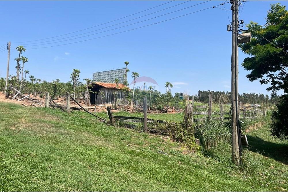 Chácara / Sítio / Fazenda - Venda - Valinhos , São Paulo - WhatsApp Image 2025-10-27 at 09.33.48 (3).jpeg - 691181010-8